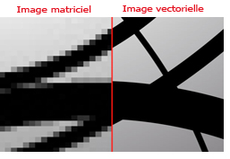 matr vs vect